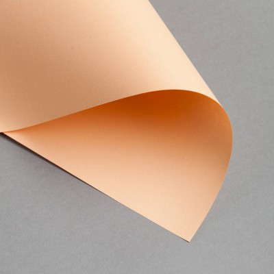 Papier saumon format 66.5*97.5