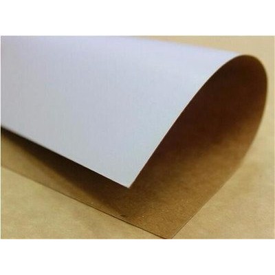 Craft  Blanc 100G  FORMAT...